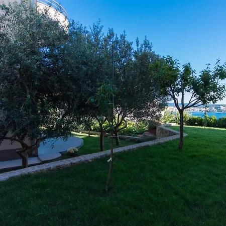 Marijan Τρογκίρ